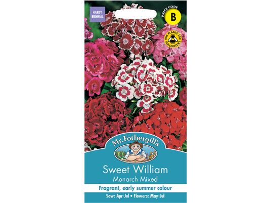 Sweet William 'Monarch Mixed' Seeds