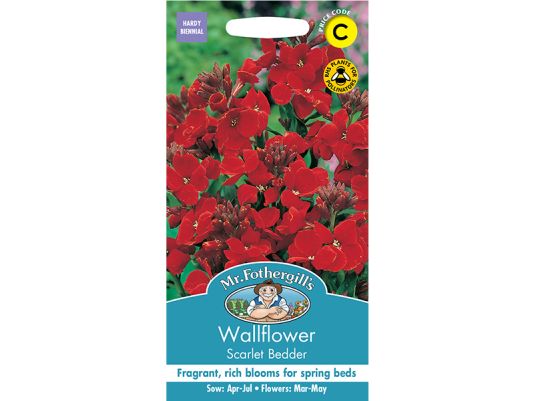 Wallflower 'Scarlet Bedder' Seeds