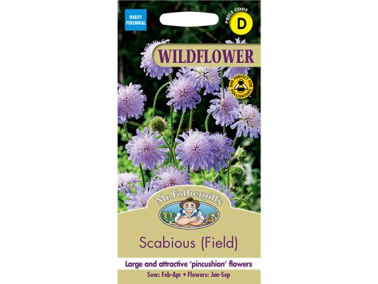 Scabious (field) Seeds