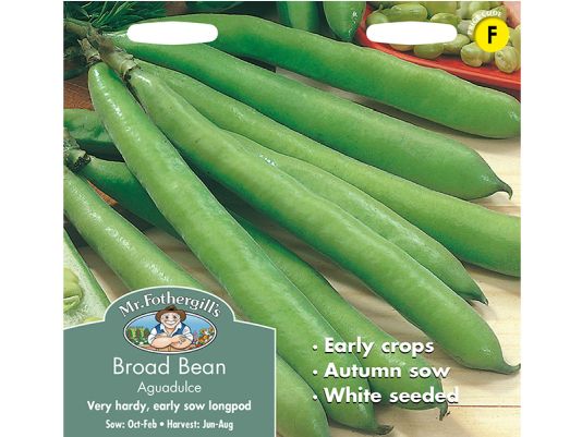 Broad Bean 'Aguadulce' Seeds