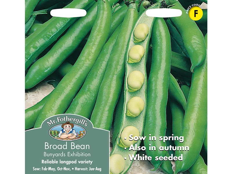 Broad Bean 'Bunyards Exhibition' Seeds