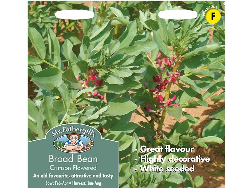 Broad Bean 'Crimson Flowered' Seeds