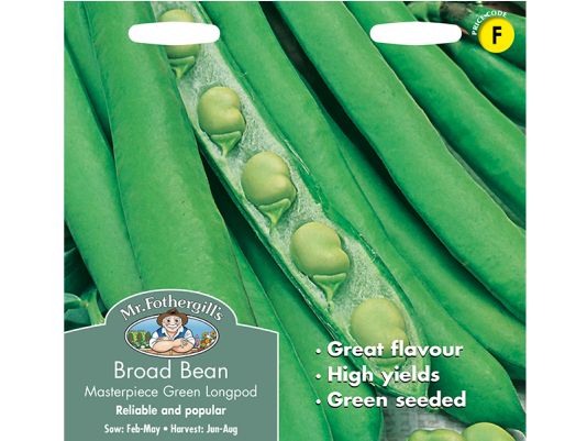 Broad Bean 'Masterpiece Green Longpod' Seeds