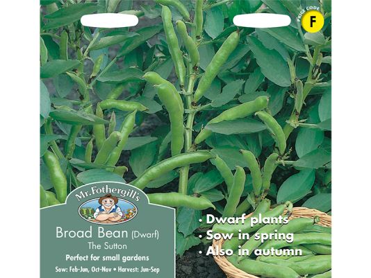 Broad Bean 'The Sutton' (dwarf) Seeds