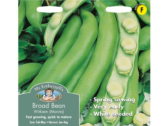 Broad Bean 'Witkiem' (Manita) Seeds