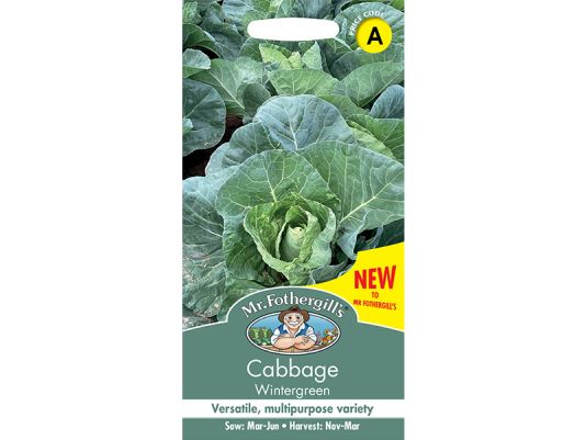 Cabbage 'Wintergreen' Seeds
