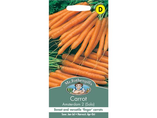 Carrot 'Amsterdam' (Solo) Seeds