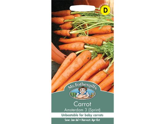 Carrot 'Amsterdam 3' (Sprint) Seeds