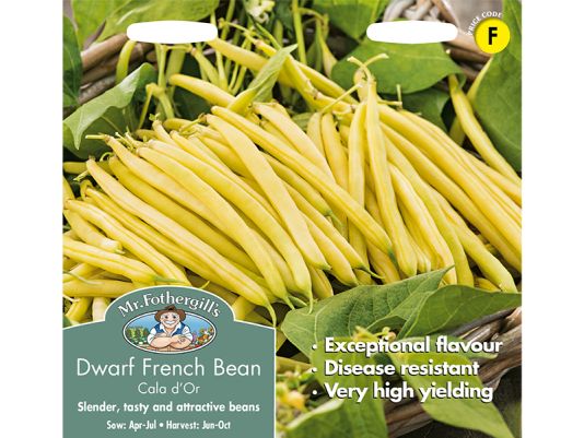 Dwarf French Bean 'Cala D'Or' Seeds