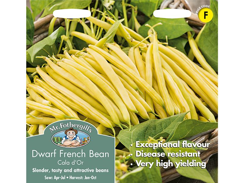 Dwarf French Bean 'Cala D'Or' Seeds