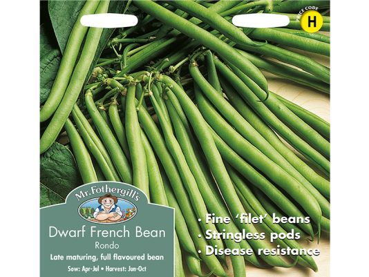 Dwarf French Bean 'Rondo' Seeds