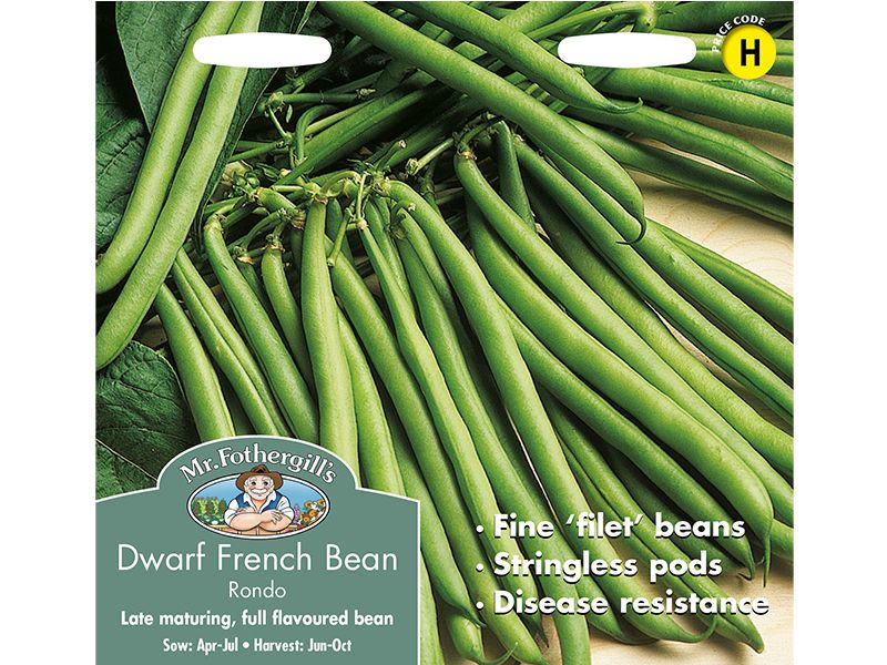 Dwarf French Bean 'Rondo' Seeds