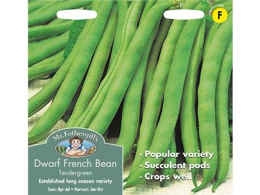Dwarf French Bean 'Tendergreen' Seeds
