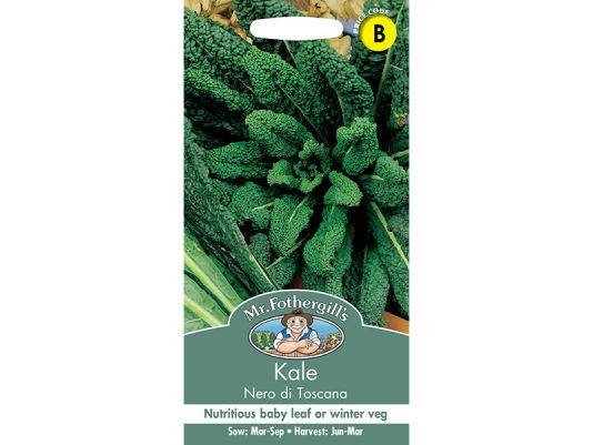 Kale 'Nero Di Toscana' Seeds