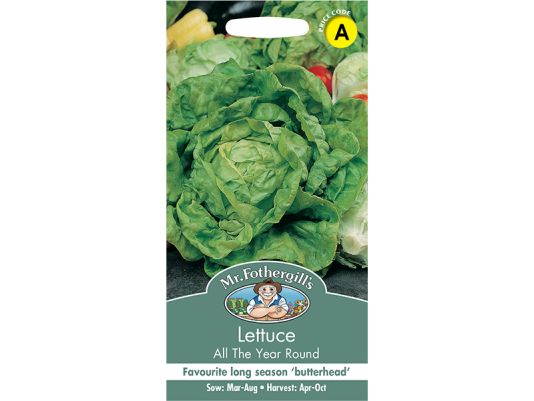 Lettuce 'All the Year Round' Seeds
