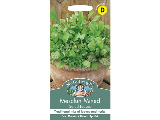 Lettuce 'Mesclun Mixed' Seeds