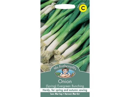 Spring Onion 'Evergreen Bunching' Seeds