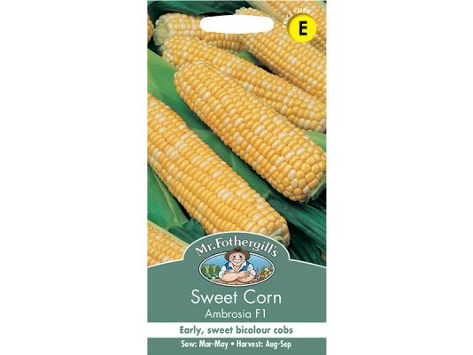 Sweet Corn 'Ambrosia' F1 Seeds