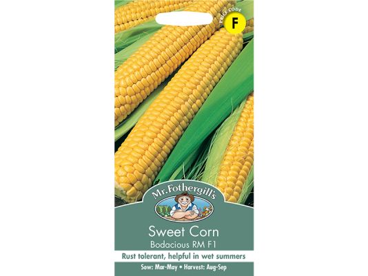 Sweet Corn 'Bodacious' RM F1 Seeds