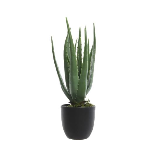 Aloe Vera Artificial Potted Plant
