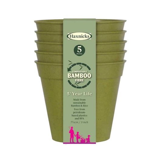 Bamboo Pot 3" Sage Green Five Pack
