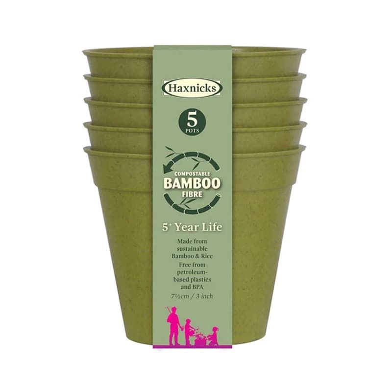 Bamboo Pot 3" Sage Green Five Pack