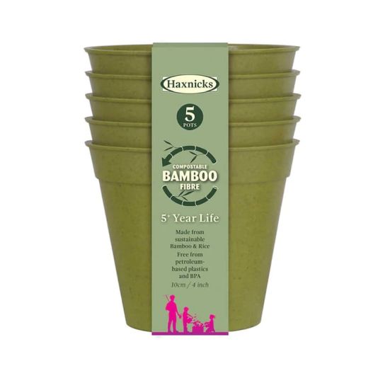 Bamboo Pot 4" Sage Green Five Pack
