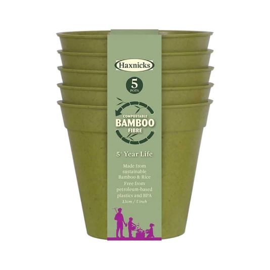 Bamboo Pot 5" Sage Green Five Pack