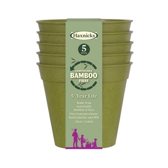 Bamboo Pot 6" Sage Green Five Pack