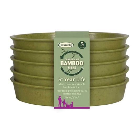 Bamboo Saucer 5" Sage Green Five Pack