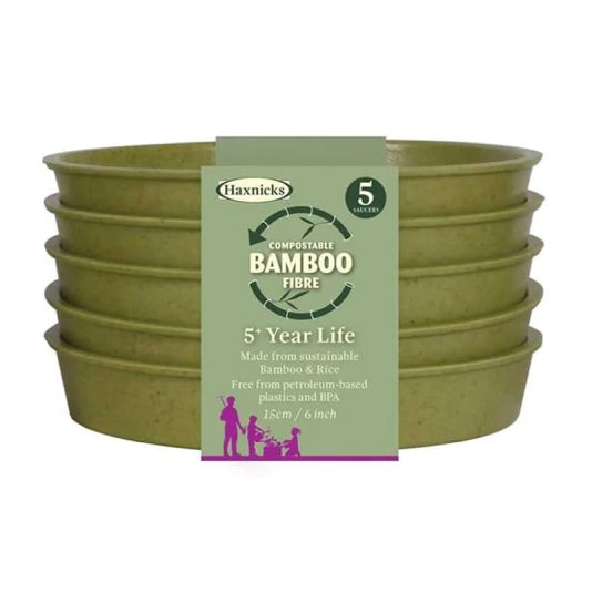 Bamboo Saucer 6" Sage Green Five Pack