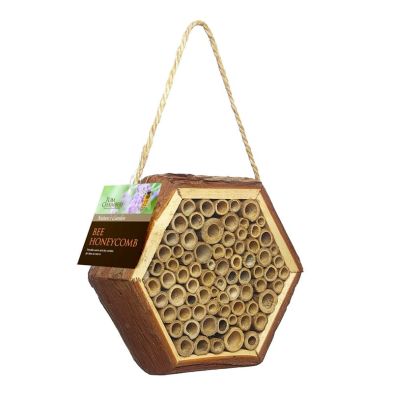Bee Honeycomb Habitat