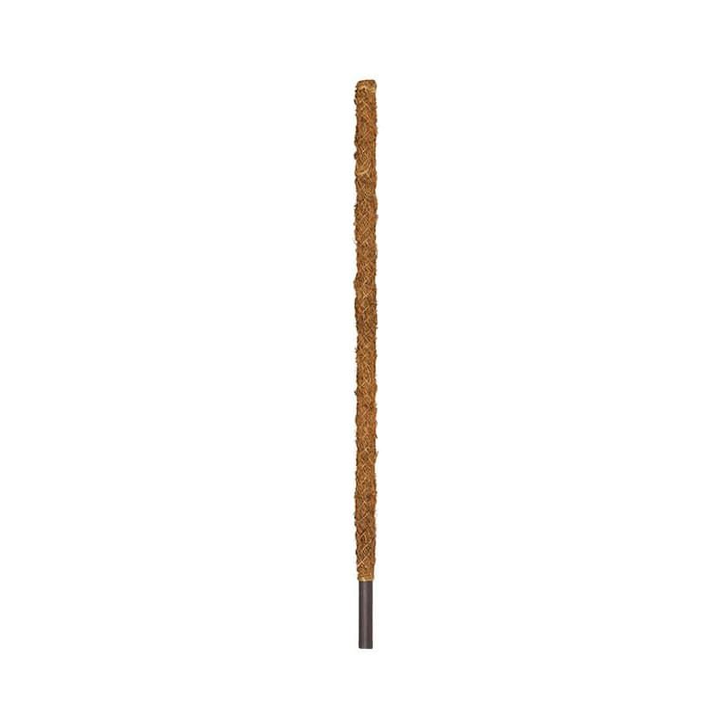 BetterGrow Coir Pole - 1.6m