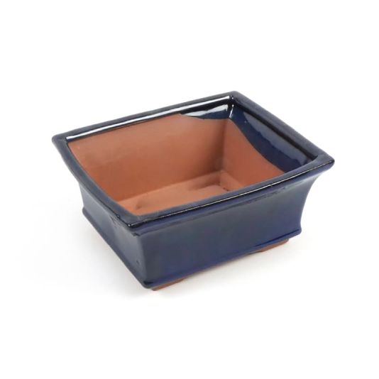 Bonsai 5B Rectangular Blue 13cm Pot