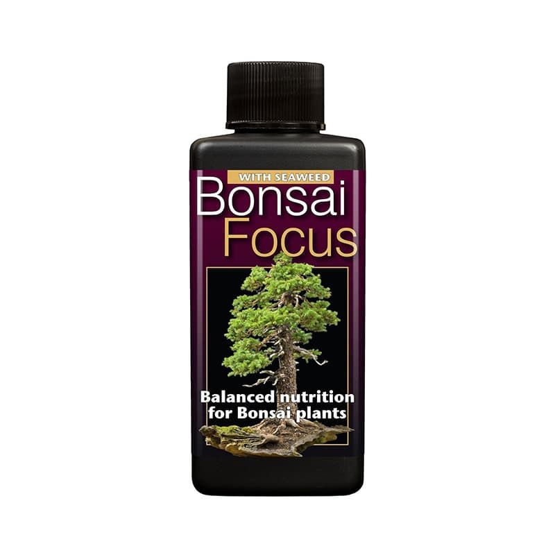 Bonsai Focus 100ml