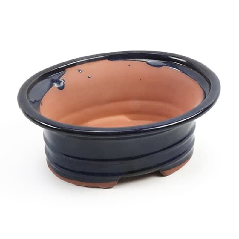Bonsai Oval Blue Pot 16cm