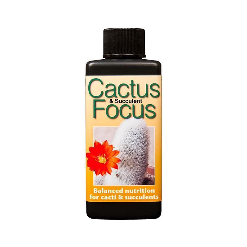 Cactus & Succulent Focus 100ml