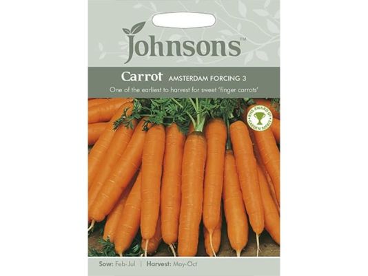 Carrot 'Amsterdam Forcing 3' Seeds