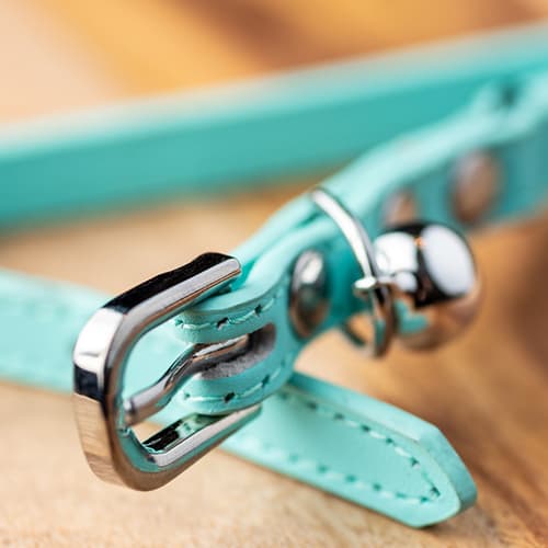 Cat Collars, Harnesses & Leads