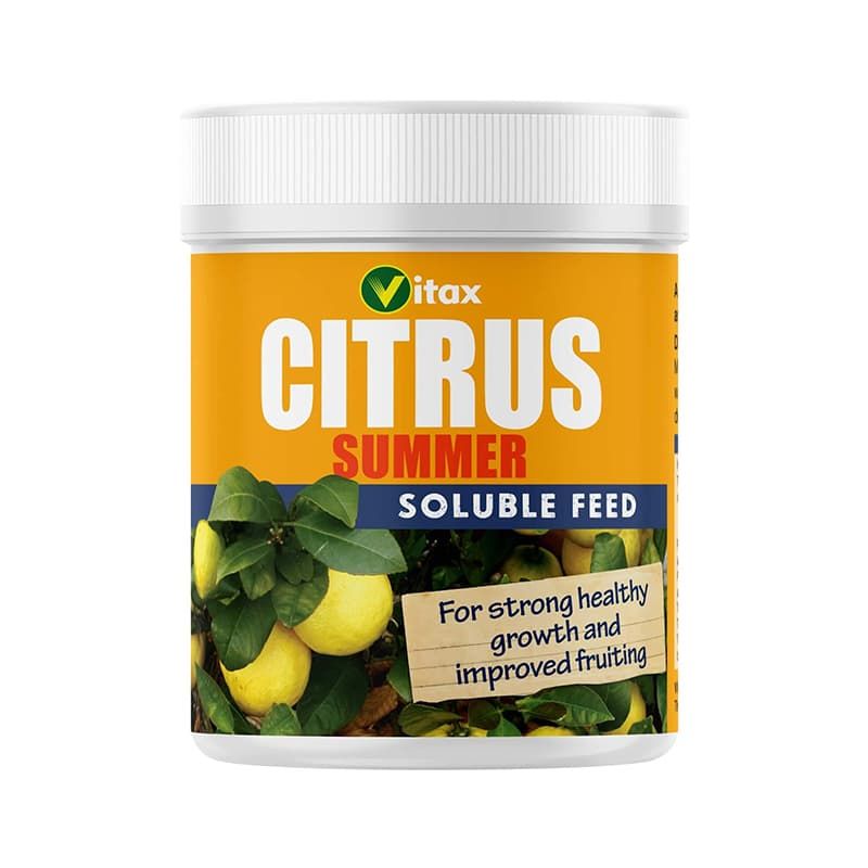 Citrus Summer Soluble Feed 200g