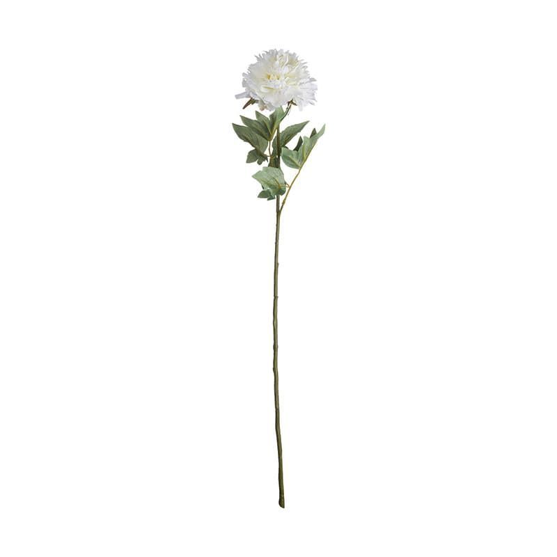 Peony Flower Stem in Classic White