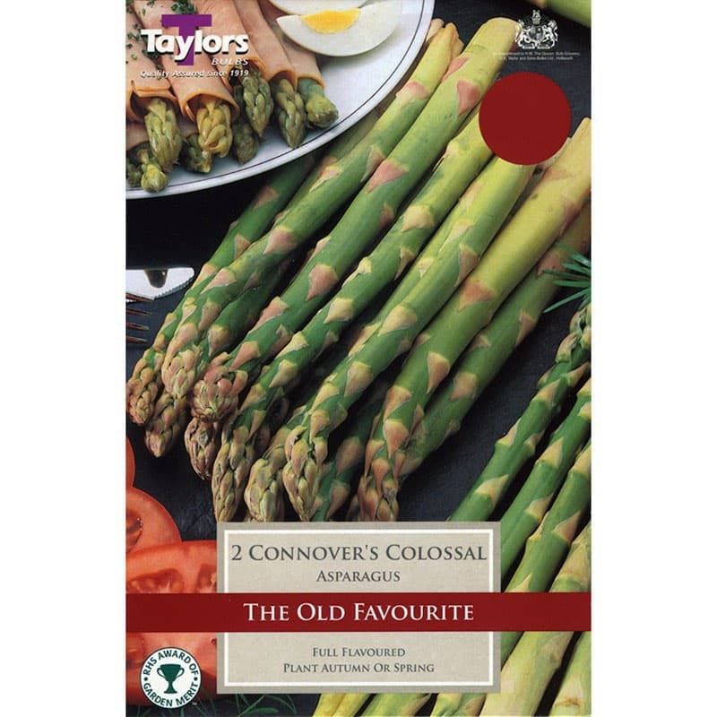 Asparagus 'Connovers Colossal'
