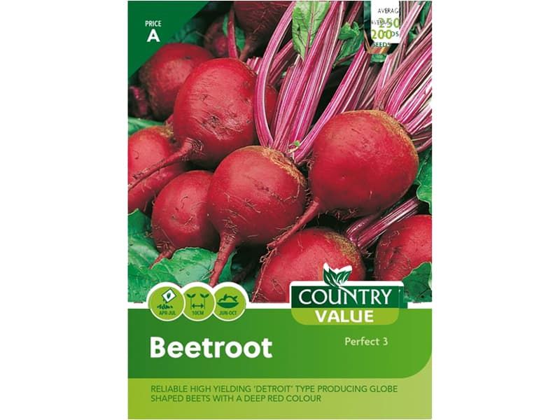 BEETROOT PERFECT 3