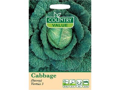 Cabbage (savoy) 'Vertus 3' Seeds