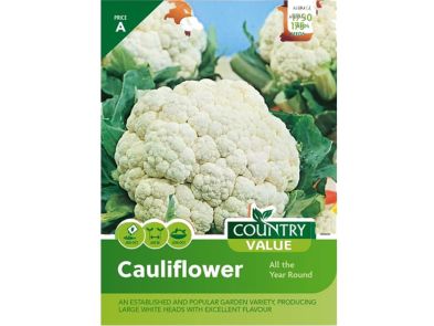 Cauliflower 'All the Year Round' Seeds