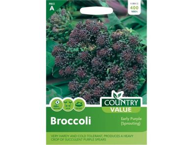 Broccoli 'Early Purple Sprouting' Seeds