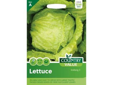 Lettuce 'Iceberg 2' Seeds
