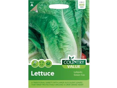 Lettuce 'Lobjoits Green Cos' Seeds