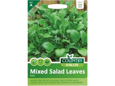 Lettuce Mild Mixed Salad Leaves Seeds