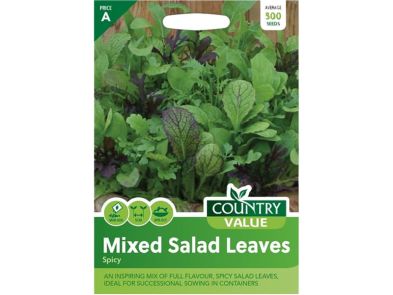 Lettuce 'Spicy Mixed Salad Leaves' Seeds